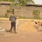 Rice processing in South East Nigeria
