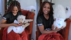 A collage showing 'Zora' actress Brenda Mitchell detailing how to diaper and comfort a dog when she's on her periods ( Instagram)