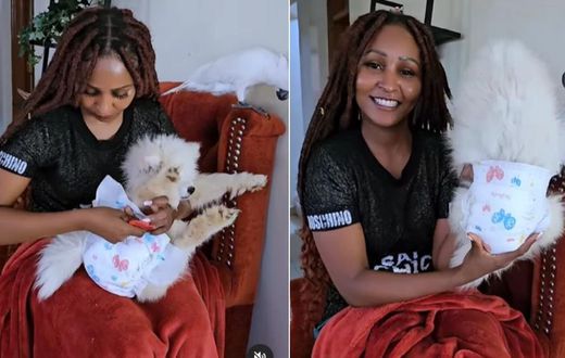 A collage showing 'Zora' actress Brenda Mitchell detailing how to diaper and comfort a dog when she's on her periods ( Instagram)