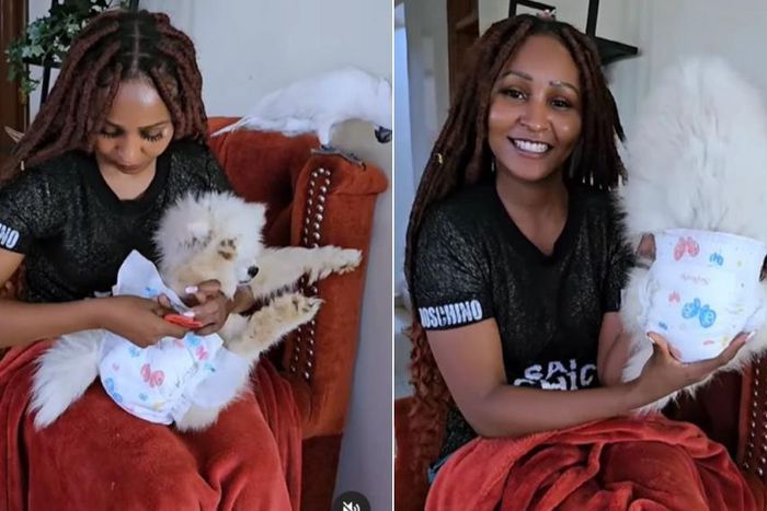 A collage showing 'Zora' actress Brenda Mitchell detailing how to diaper and comfort a dog when she's on her periods ( Instagram)