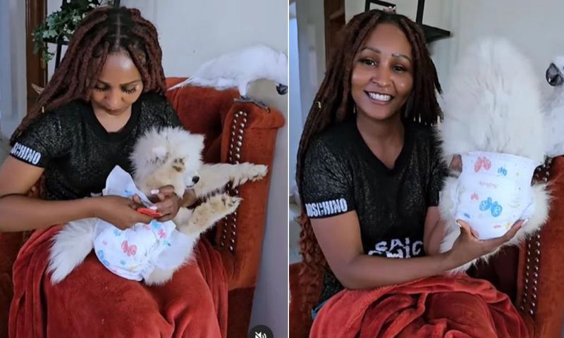 A collage showing 'Zora' actress Brenda Mitchell detailing how to diaper and comfort a dog when she's on her periods ( Instagram)