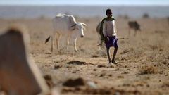 Millions of Kenyans suffer from drought and famine.