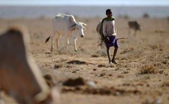 Millions of Kenyans suffer from drought and famine.