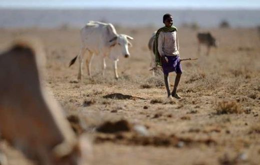 Millions of Kenyans suffer from drought and famine.