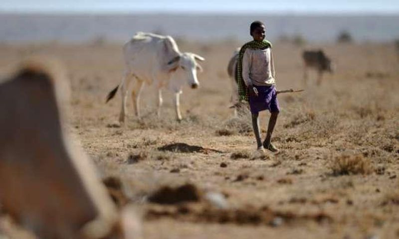 Millions of Kenyans suffer from drought and famine.