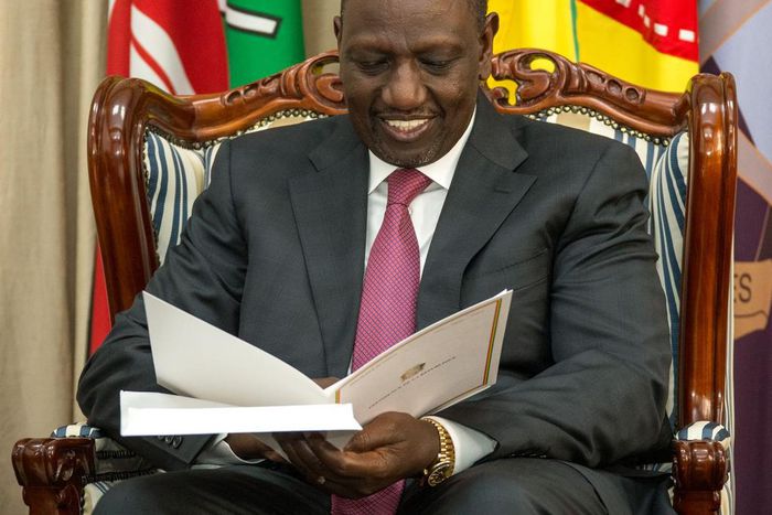 President William Ruto peruses through a document at State House