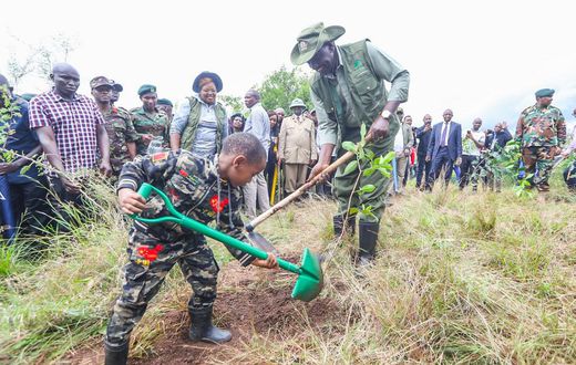 President William Ruto planting a tree alongside a young boy during the National Tree Planting Day in Murang'a County on May 10, 2024