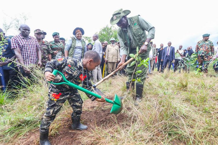 President William Ruto planting a tree alongside a young boy during the National Tree Planting Day in Murang'a County on May 10, 2024