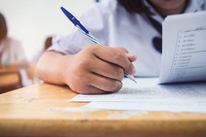 The delayed exam policy allows students to explore various subjects without the pressure of exams [Freepik]