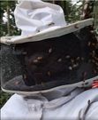 Charlene Ruto wears protective gear to harvest honey