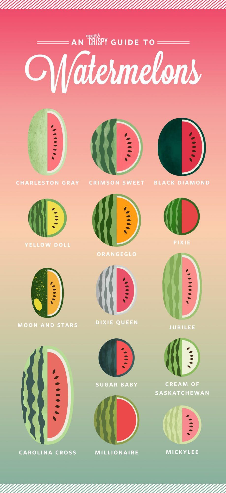 All watermelons look the same on the outside [MyRecipe]