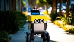 VIDEO: 'Can't happen in Africa' robot delivers food order to surprised customer/Courtesy