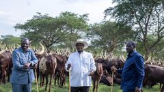 President William Ruto, Uganda's President Yoweri Museveni, and former Prime Minister Raila Odinga meet in Uganda