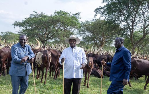 President William Ruto, Uganda's President Yoweri Museveni, and former Prime Minister Raila Odinga meet in Uganda