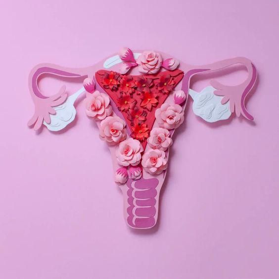 Representation of blossoming, fertile ovaries [Pinterest]
