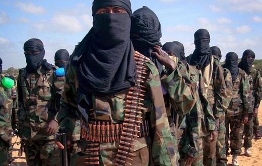 US air strike killed 27 al Shabaab militants in Somalia – Military (Hiraan)