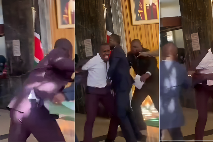 Silvanus Osoro tackled by fellow MPs as he tried accessing the National Assembly