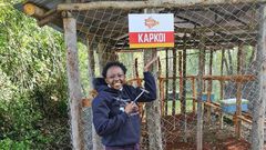Charlene Ruto branding the location of her hives