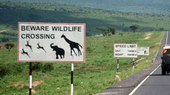 A road passing through Tsavo National Park