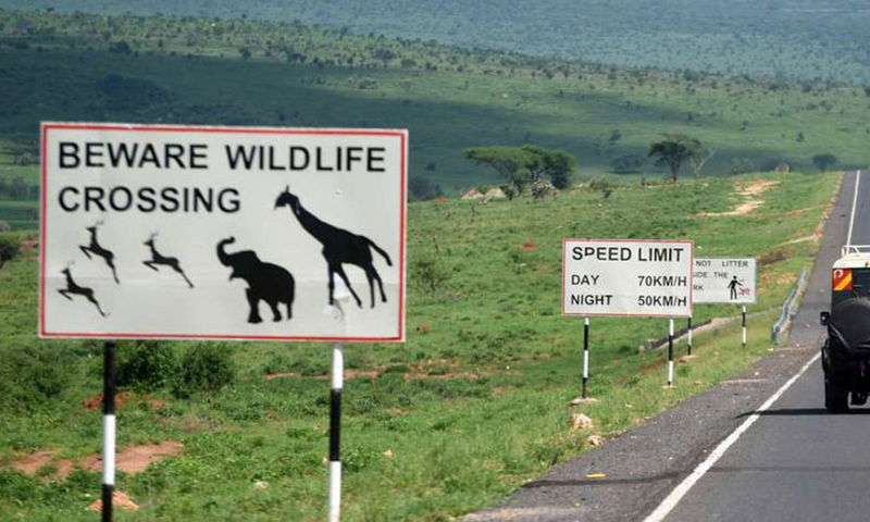 A road passing through Tsavo National Park