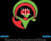 The National Council of NGOs Logo