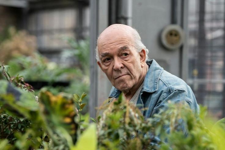 Mark Margolis