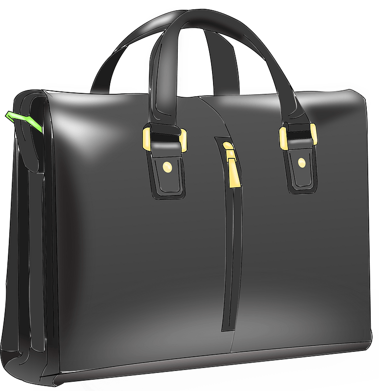 Man's handbag