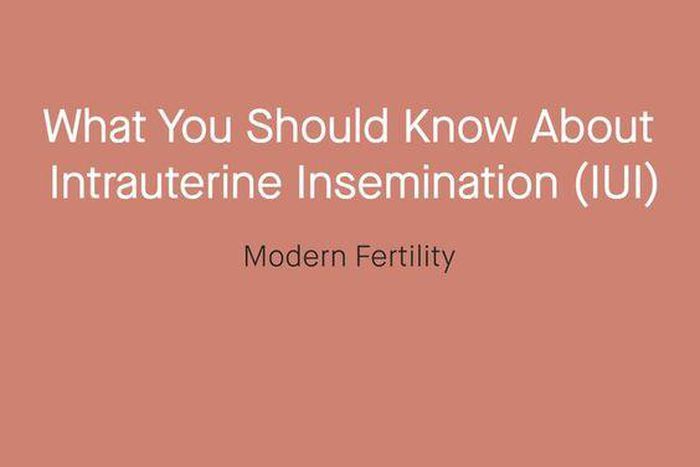 The sperm [Pinterest]