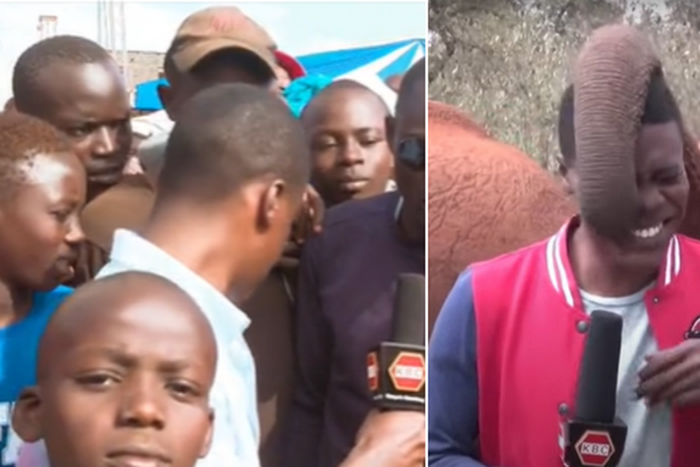 A collage of Alvin Kaunda