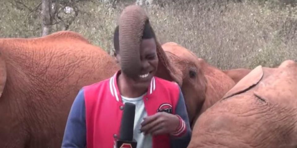 KBC reporter Alvin Kaunda