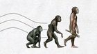 6 ways evolution screwed us over