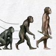 6 ways evolution screwed us over