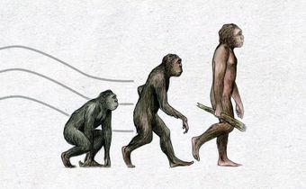 6 ways evolution screwed us over