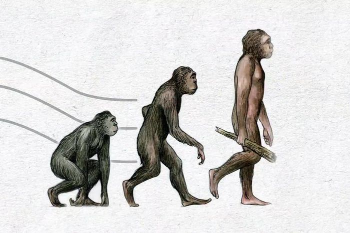6 ways evolution screwed us over