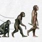 6 ways evolution screwed us over