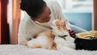 Cats are perfect companions [iStock]