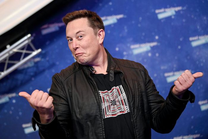 Elon Musk controls SpaceX and is the CEO of Twitter.Britta Pedersen/Getty Images