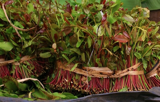 Muguka