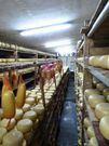 Browns Cheese Factory
