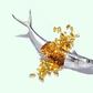 Fish is one of the best sources of omega-3 fats.Shana Novak/Getty Images