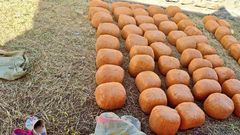 Gunny bags containing illegalized substance