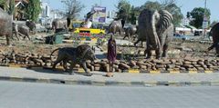 Some of the iconic wildlife sculptures that line up the streets of Mombasa and several roundabouts