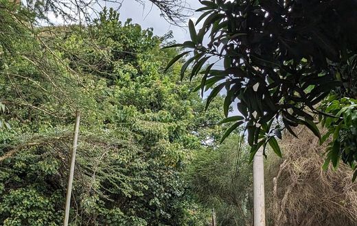 Nairobi's Diplomatic Blue Zone hit hard by heavy rains & flooding