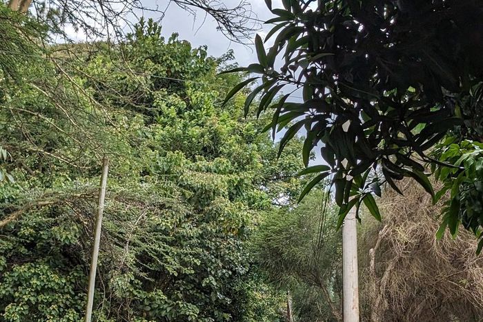 Nairobi's Diplomatic Blue Zone hit hard by heavy rains & flooding