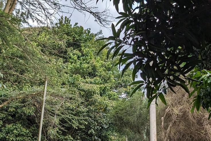 Nairobi's Diplomatic Blue Zone hit hard by heavy rains & flooding