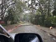 Poles and trees down along Peponi Road on May 6, 2024