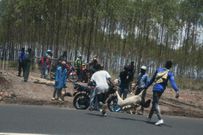 Kenyatta family's Northlands farm invaded by unknown people
