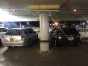 Sequential siblings: Number plate coincidences you would not believe if they were not captured on camera