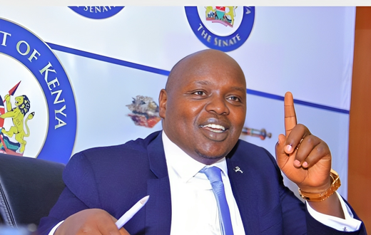 Nandi Senator Samson Cherargei