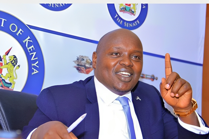 Nandi Senator Samson Cherargei